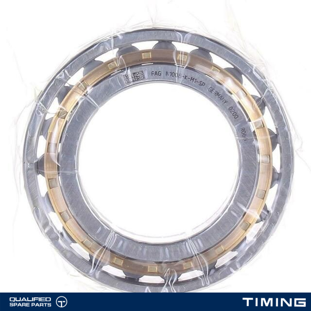 CYLINDRICAL ROLLER BEARING OE NJ205