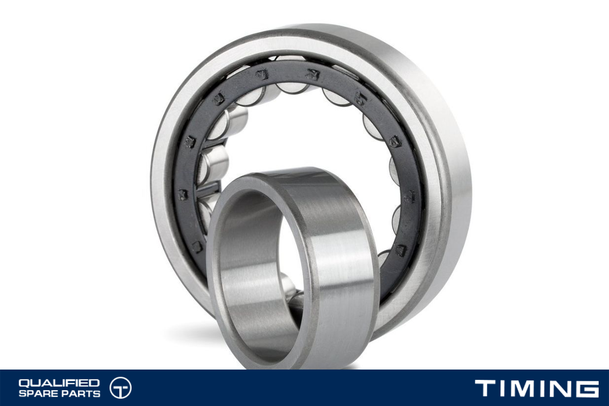 CYLINDRICAL ROLLER BEARING OE RP1563-TV