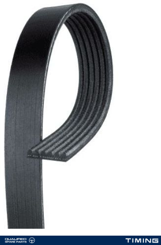 SERPENTINE BELT GATES K050277SF